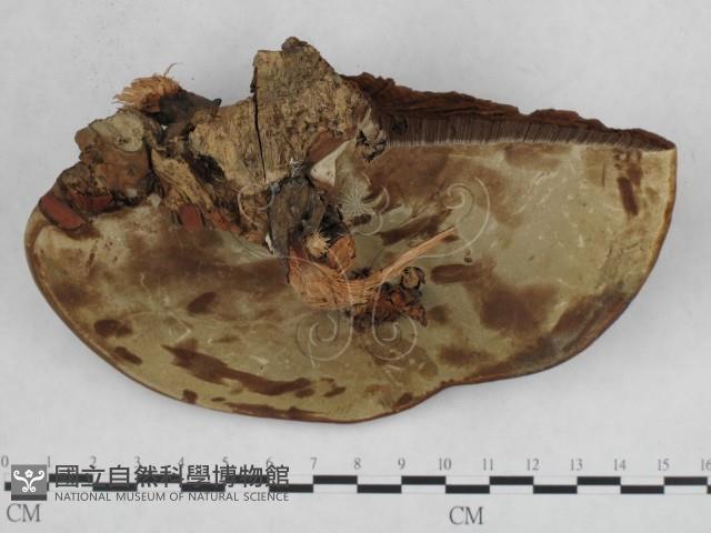 登錄號:F0009322藏品圖，第4張