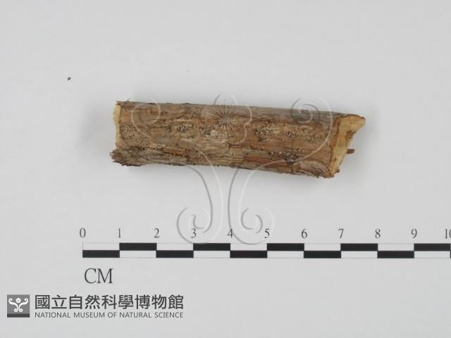 登錄號:F0013802藏品圖，第4張