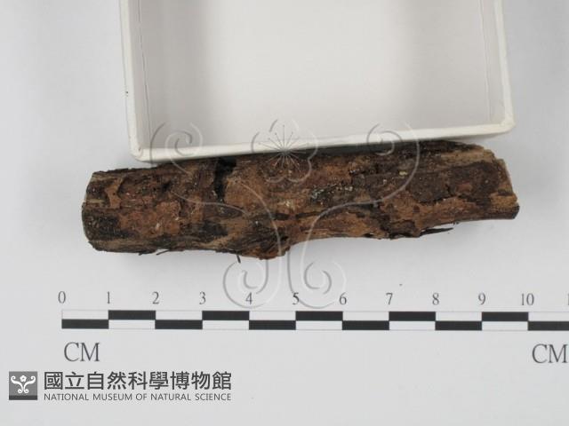 登錄號:F0005702藏品圖，第4張