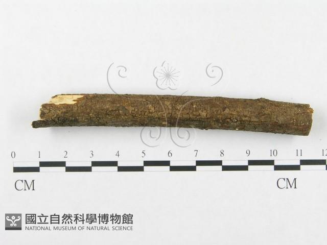 登錄號:F0002502藏品圖，第4張