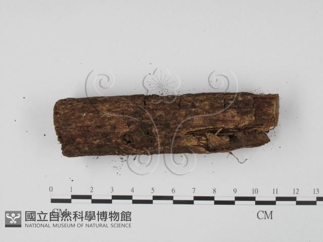 登錄號:F0001302藏品圖，第4張