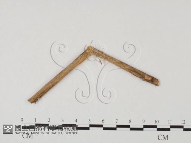 登錄號:F0023302藏品圖，第4張