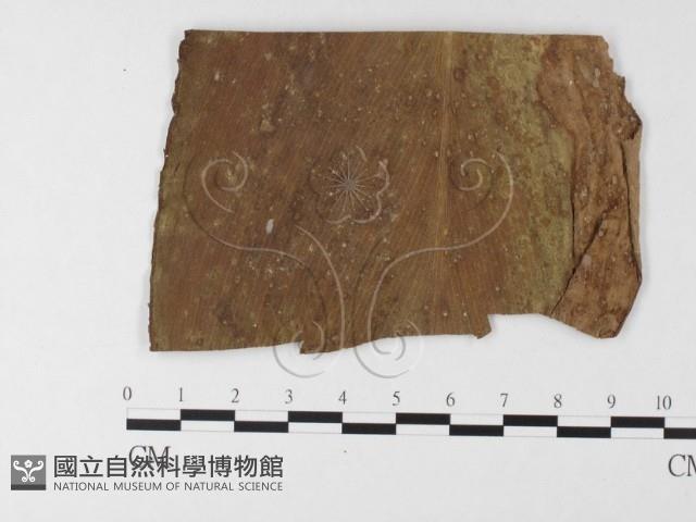 登錄號:F0026212藏品圖，第4張