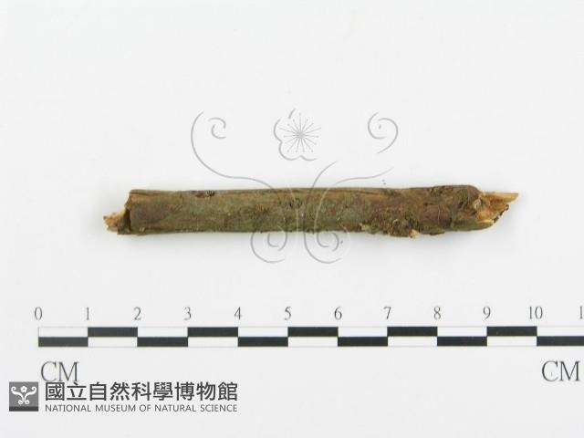 登錄號:F0001212藏品圖，第4張