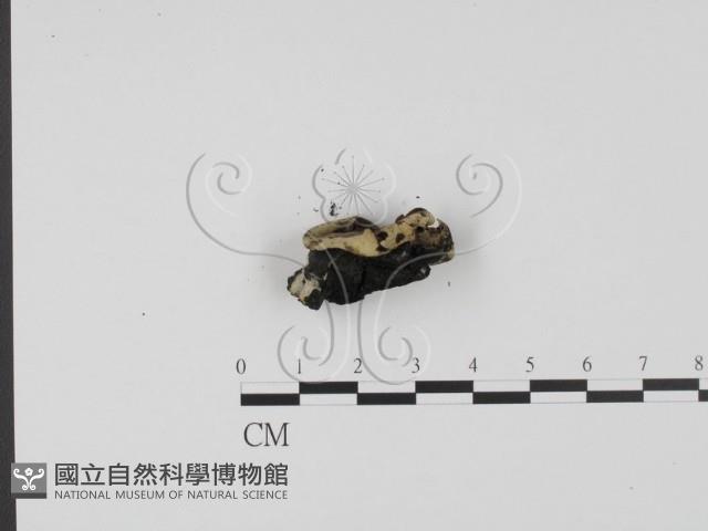 登錄號:F0013912藏品圖，第4張