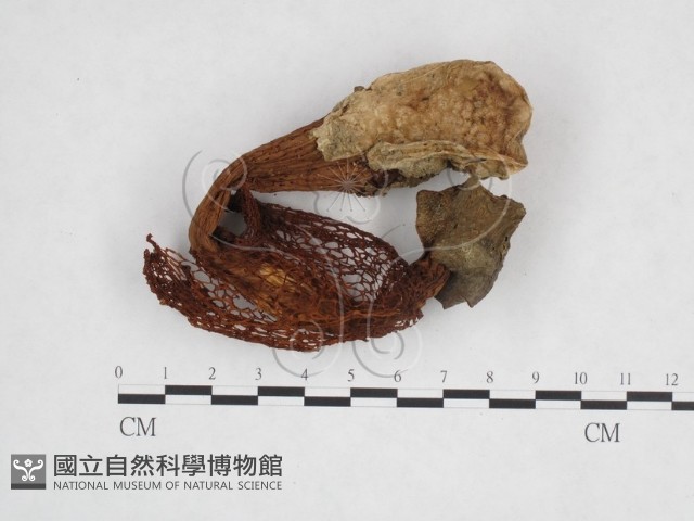 登錄號:F0003712藏品圖，第4張