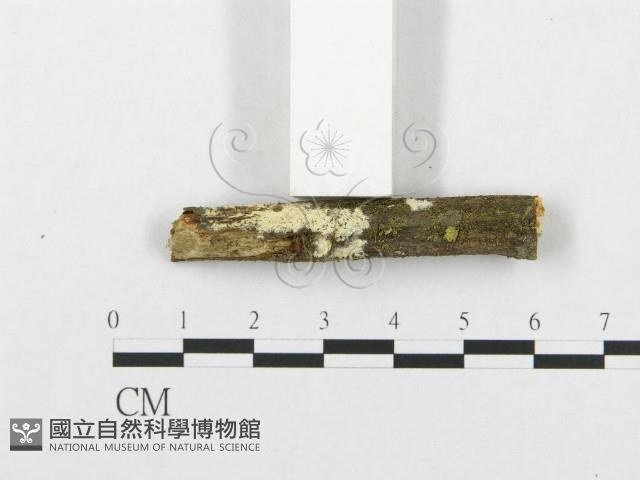登錄號:F0001112藏品圖，第4張