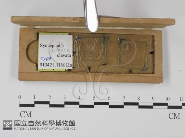 登錄號:F0019552藏品圖，第4張