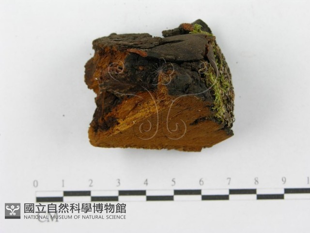 登錄號:F0014152藏品圖，第4張