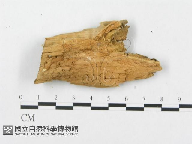 登錄號:F0007242藏品圖，第4張