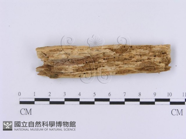 登錄號:F0014742藏品圖，第4張
