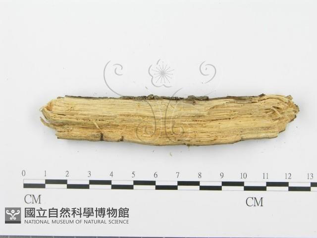 登錄號:F0001042藏品圖，第4張