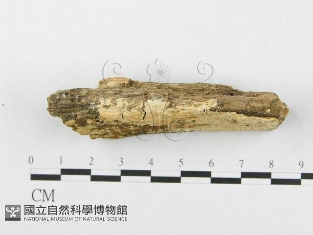 登錄號:F0019932藏品圖，第4張