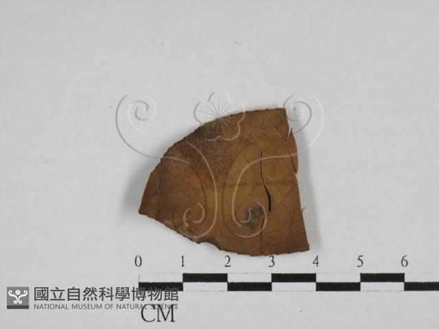 登錄號:F0022432藏品圖，第4張