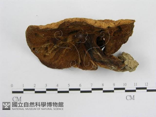 登錄號:F0003372藏品圖，第4張