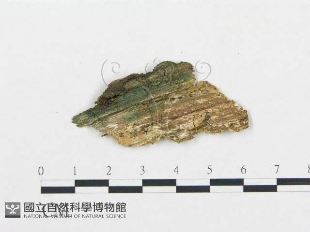 登錄號:F0017467藏品圖，第4張
