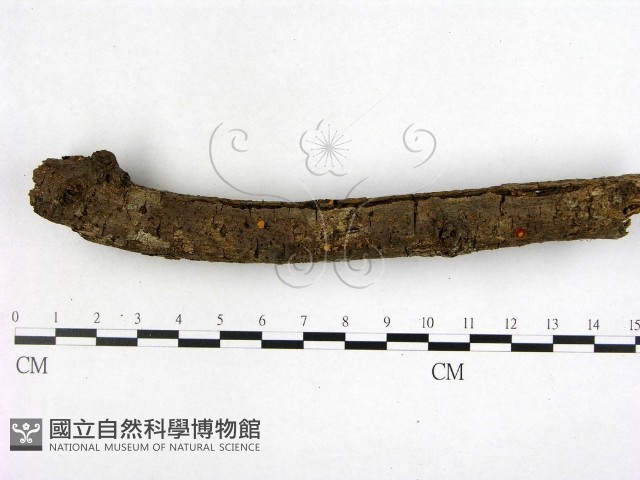 登錄號:F0002227藏品圖，第4張