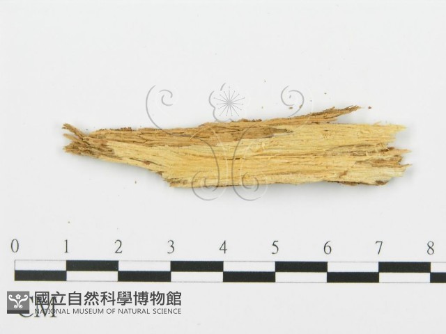 登錄號:F0013927藏品圖，第4張