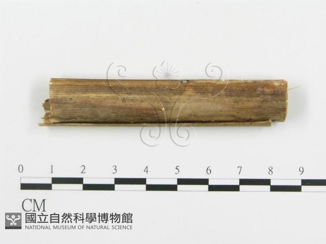 登錄號:F0008627藏品圖，第4張
