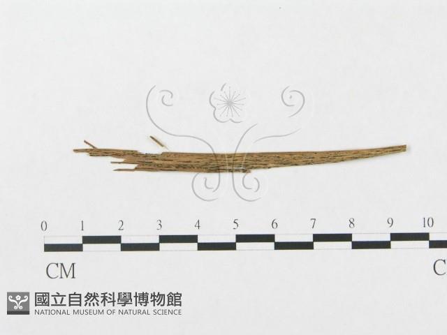 登錄號:F0011627藏品圖，第1張