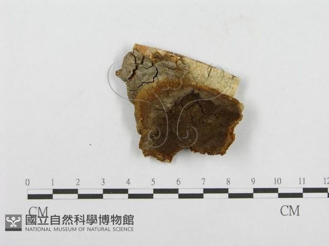 登錄號:F0004627藏品圖，第4張