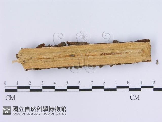 登錄號:F0002427藏品圖，第4張