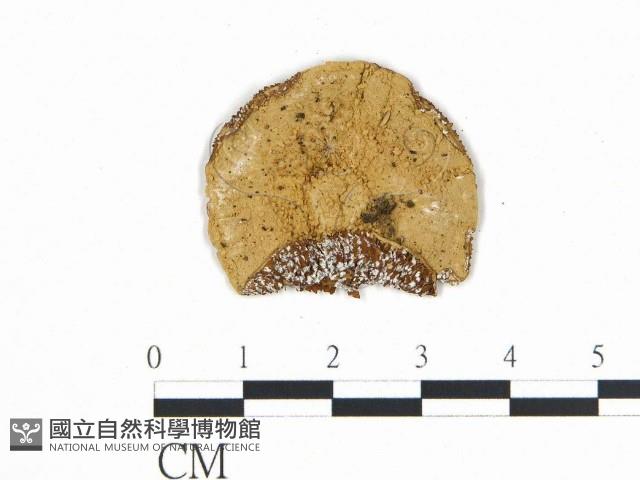 登錄號:F0002207藏品圖，第4張