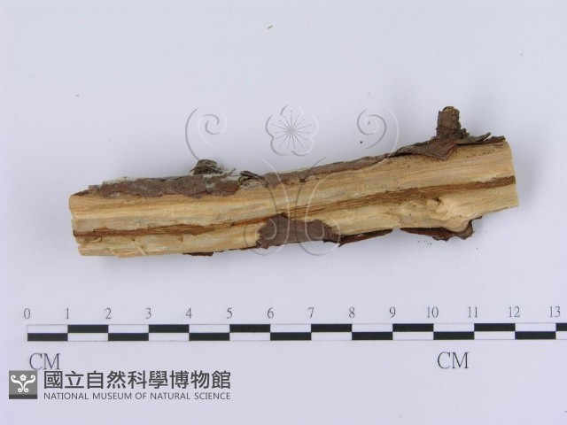 登錄號:F0003007藏品圖，第4張