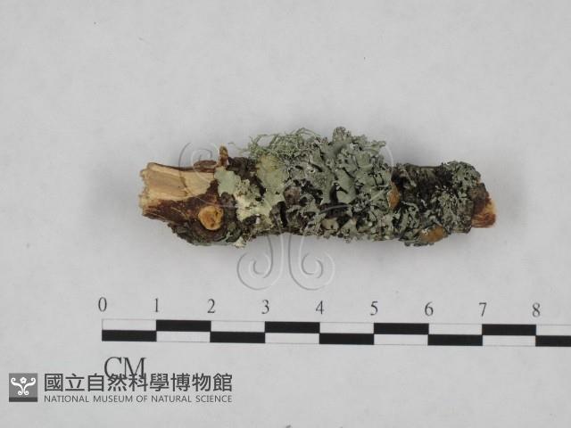 登錄號:F0024817藏品圖，第4張