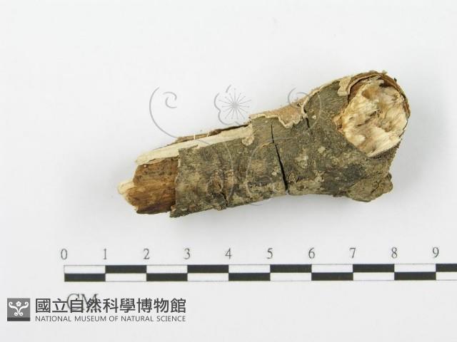 登錄號:F0001617藏品圖，第4張