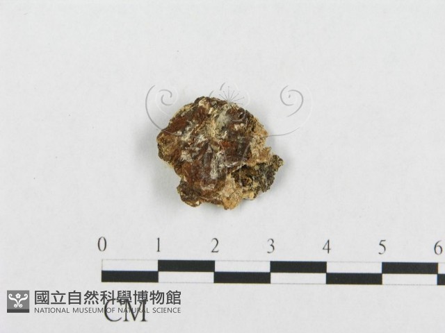登錄號:F0017417藏品圖，第4張