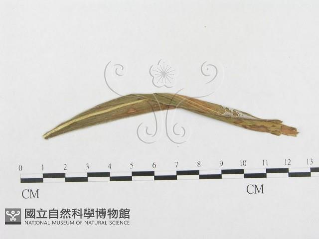 館號:F0019317藏品圖，第4張