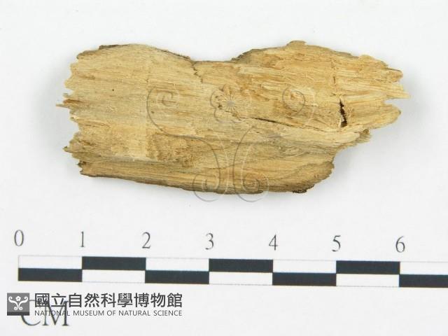 登錄號:F0017857藏品圖，第4張