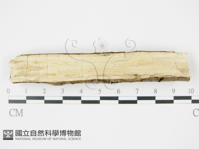 登錄號:F0010457藏品圖，第4張