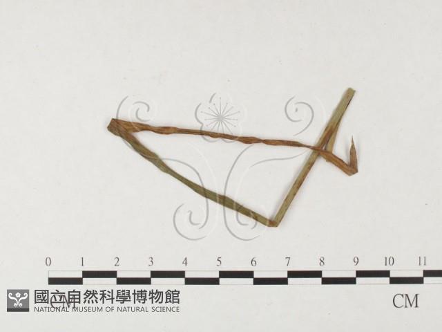 登錄號:F0026457藏品圖，第4張