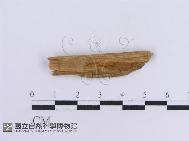 登錄號:F0016757藏品圖，第4張