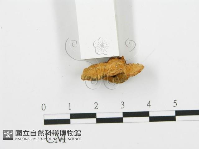 登錄號:F0005757藏品圖，第4張