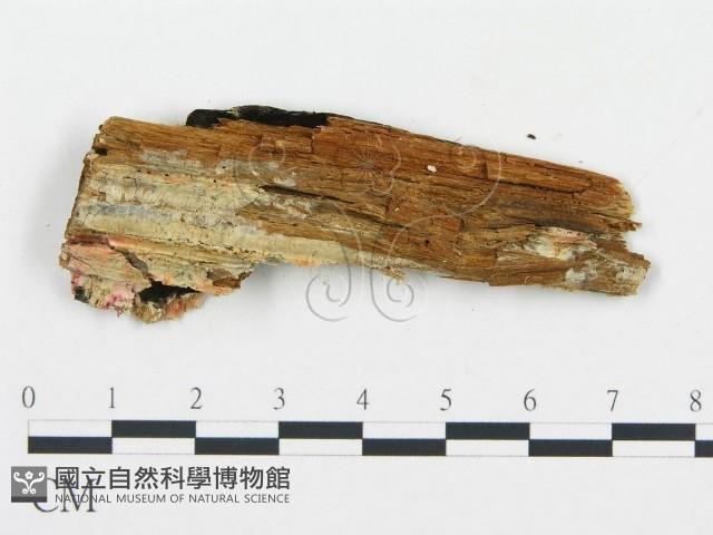 登錄號:F0006057藏品圖，第4張