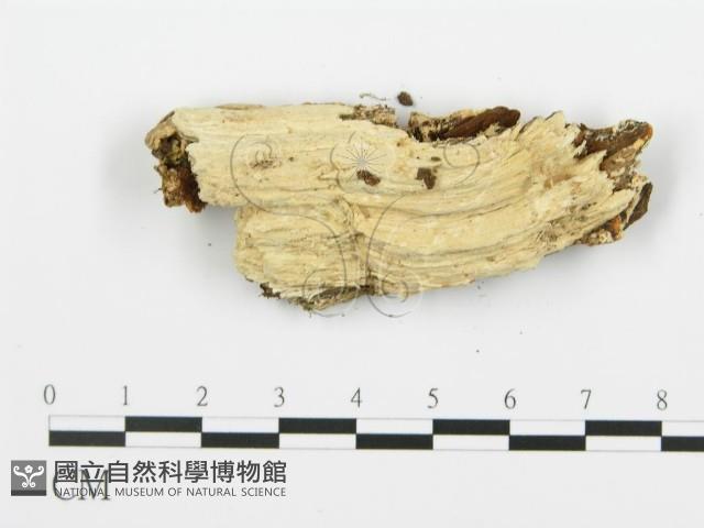 登錄號:F0006357藏品圖，第4張