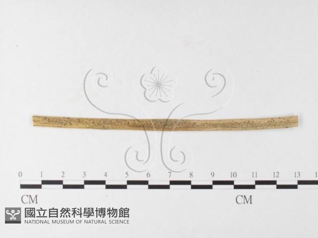 登錄號:F0026247藏品圖，第4張