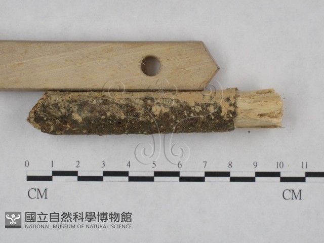 登錄號:F0022247藏品圖，第4張