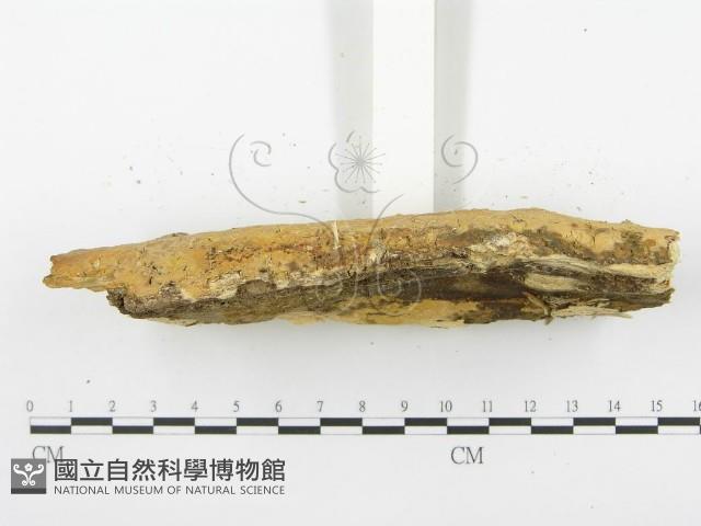 登錄號:F0000447藏品圖，第4張