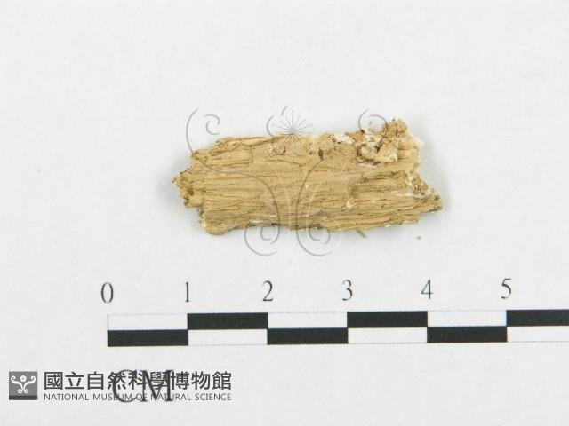 登錄號:F0017547藏品圖，第4張