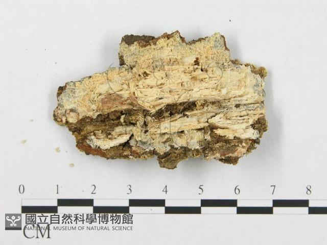 登錄號:F0019937藏品圖，第4張