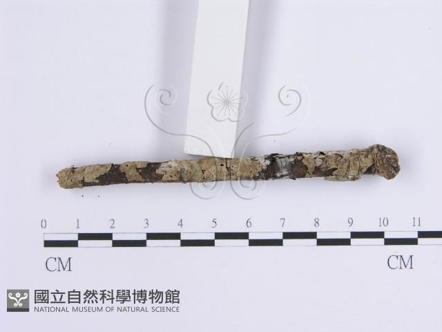 登錄號:F0001637藏品圖，第4張