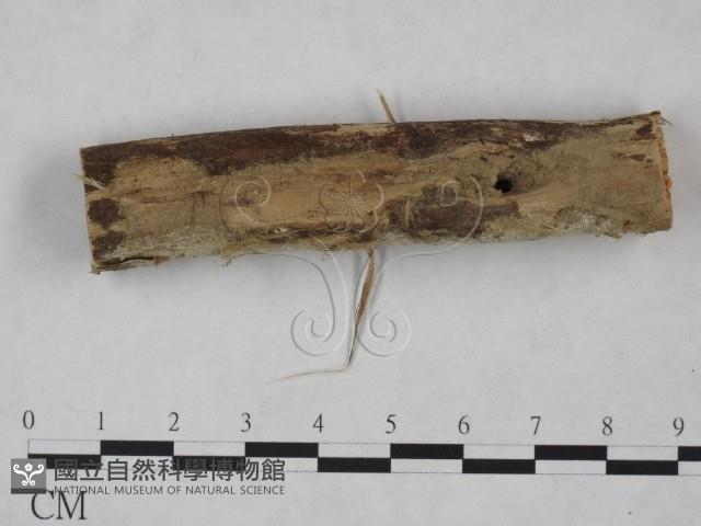 登錄號:F0021737藏品圖，第4張