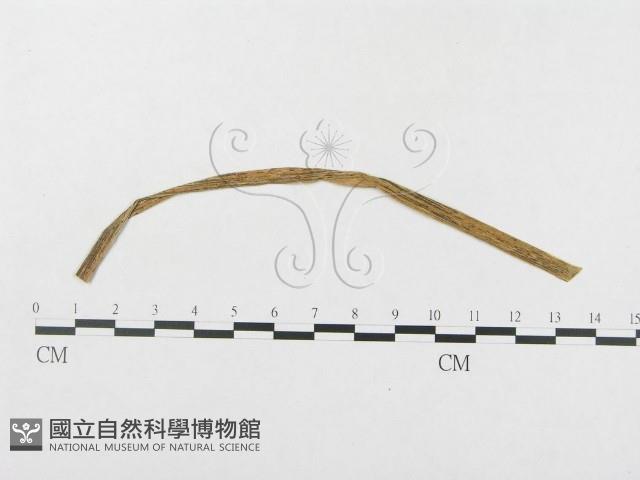 登錄號:F0019337藏品圖，第4張