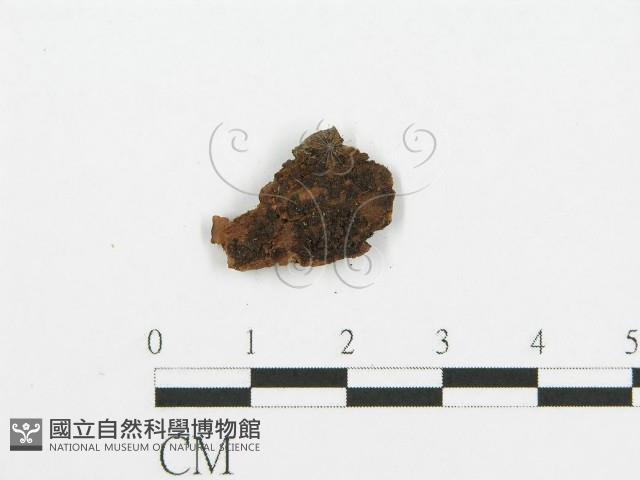 登錄號:F0014977藏品圖，第4張