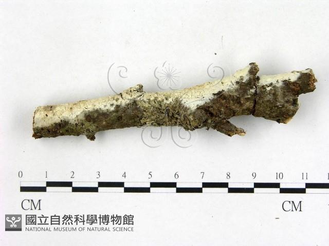 登錄號:F0022677藏品圖，第4張