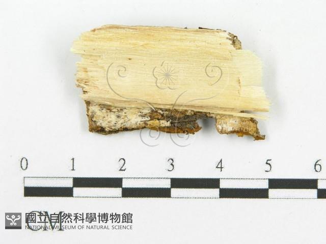 登錄號:F0017377藏品圖，第4張